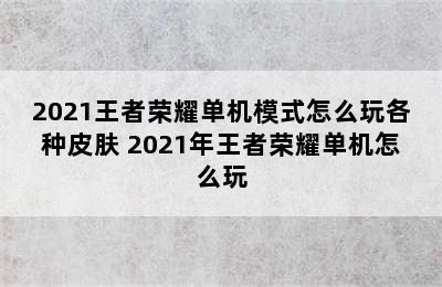 2021王者荣耀单机模式怎么玩各种皮肤 2021年王者荣耀单机怎么玩